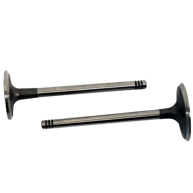 Engine Valve Pair | Can-Am | DS650 00-07