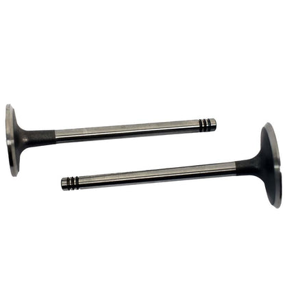 Engine Valve Pair | Can-Am | DS650 00-07