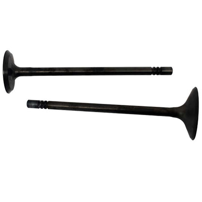 Engine Valve Pair | Polaris | Ranger / Sportsman 700 / 800